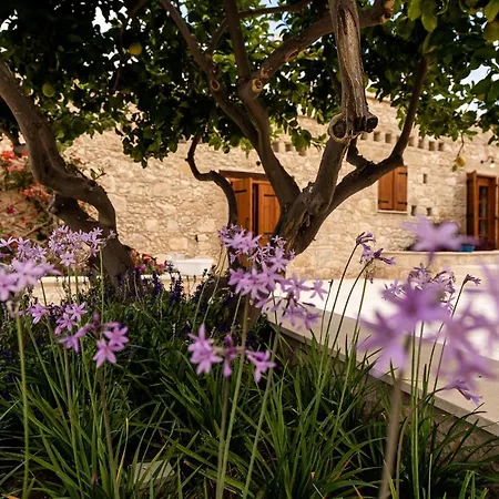 Harma Traditional Boutique דירה פאפוס