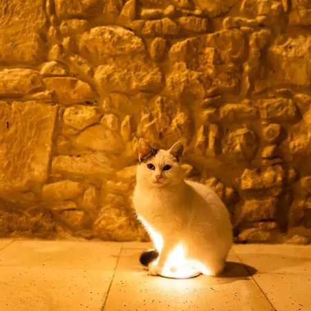 Apartament Harma Traditional Boutique *