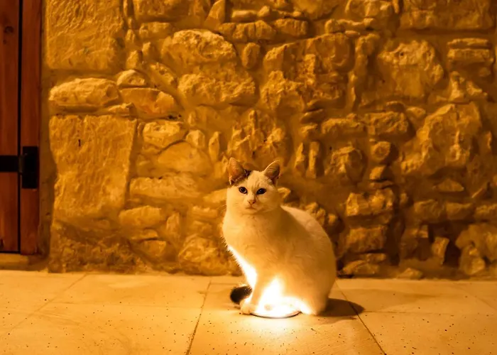 アパート Harma Traditional Boutique *