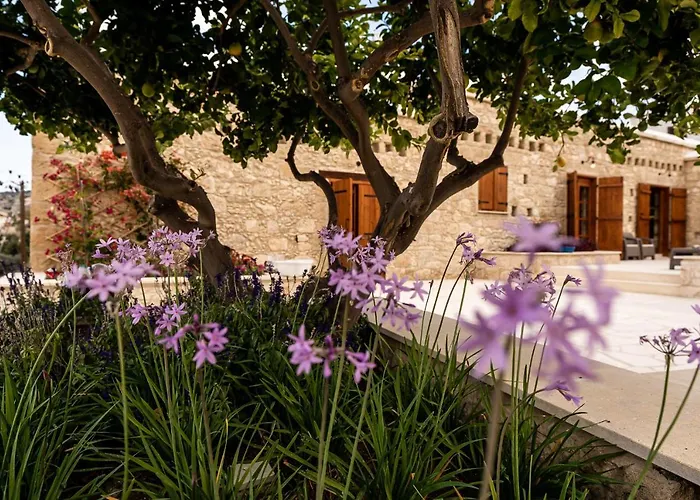 Harma Traditional Boutique Appartement Paphos