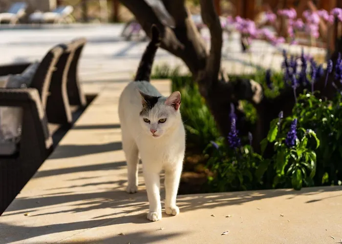 Harma Traditional Boutique *